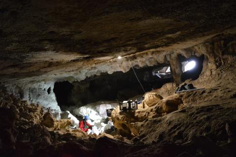La Península Ibérica jugó un papel principal en la supervivencia de las poblaciones humanas del Paleolítico La Península Ibérica jugó un papel principal en la supervivencia de las poblaciones humanas del Paleolítico