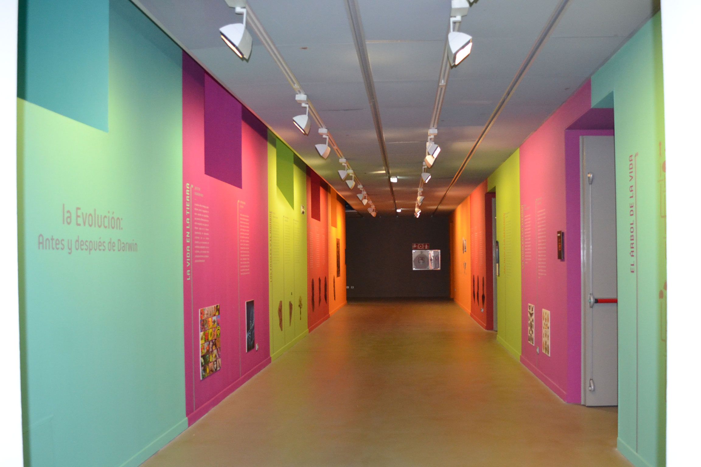 Museo Ciencias Naturales - Universidad de Zaragoza
