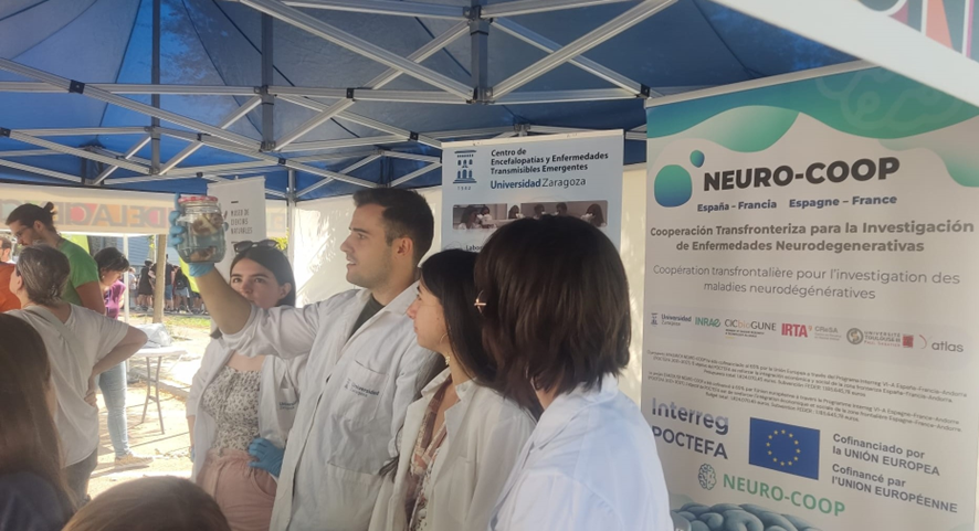 imagen actividad divulgación