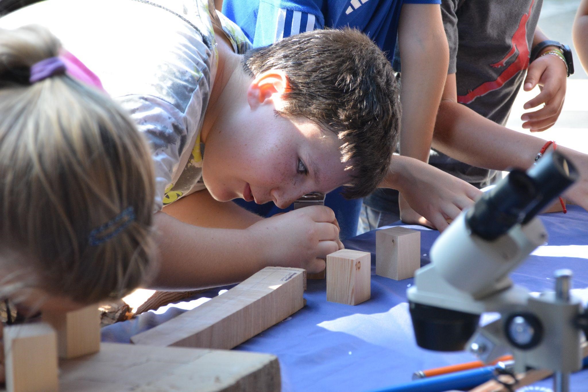 Imagen actividad divulgación