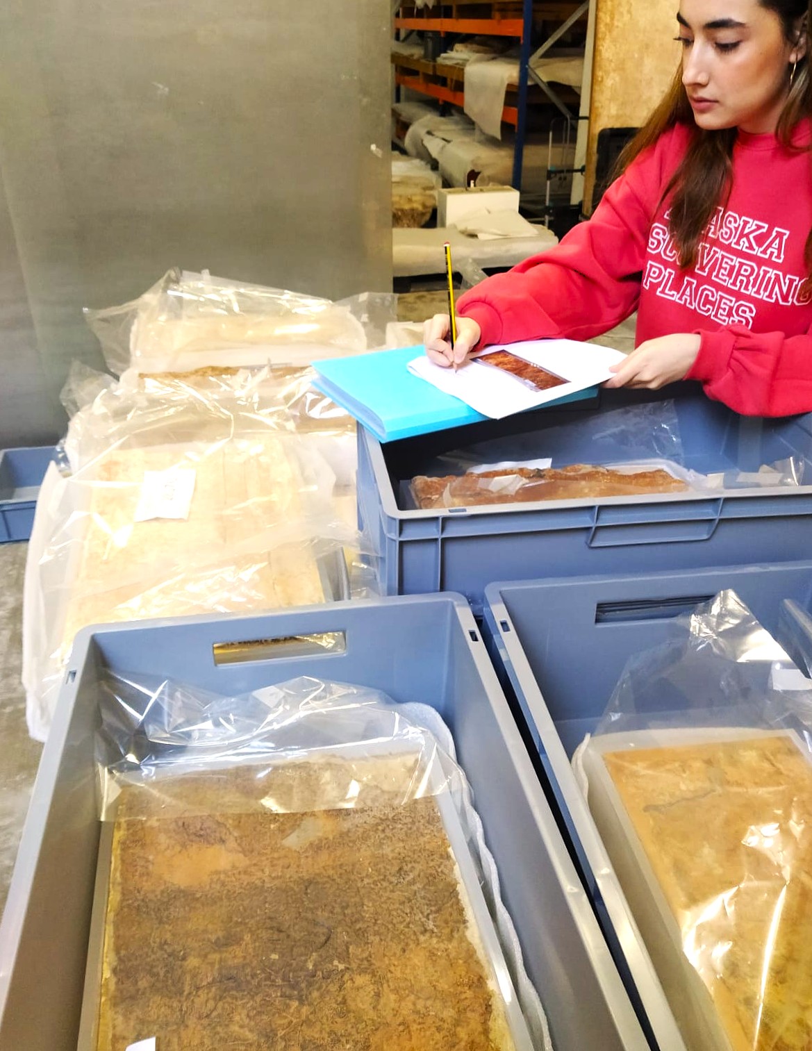 imagen actividad divulgación