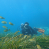 La Universidad de Zaragoza proyectará este miércoles un documental sobre el aragonés Odón de Buen, considerado el primer oceanógrafo español 