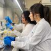 Descubierto un potencial nuevo antibiótico contra la tuberculosis