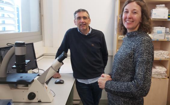 José Manuel García Aznar y Elena García Gareta, del grupo M2BE del I3A-Unizar. 