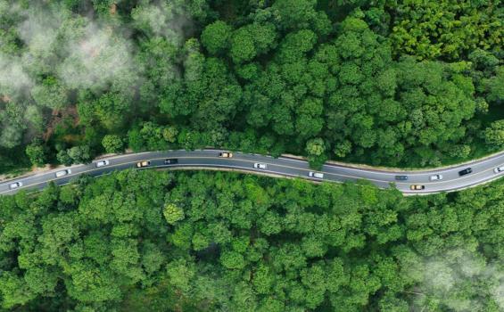 ¿Por qué se diluye la huella de carbono de los más ricos?
