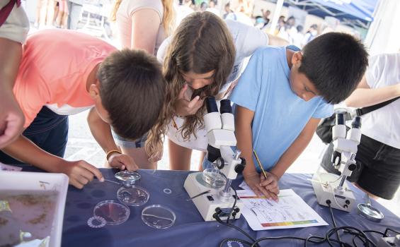 Green Week Rincón Ciencia 