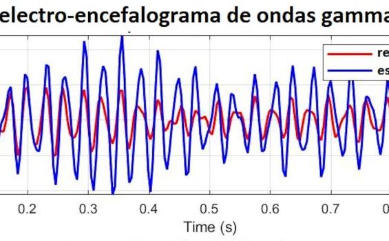 Podemos modificar el cerebro (y la salud mental) usando luces que parpadean