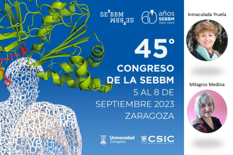 Zaragoza se convierte esta semana en el referente mundial de la Bioquímica Zaragoza se convierte esta semana en el referente mundial de la Bioquímica
