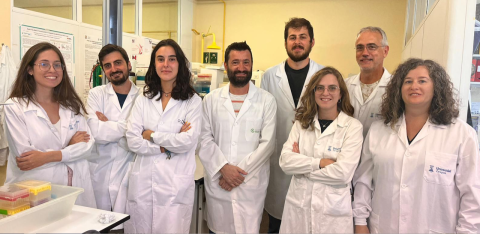 Descubren una terapia eficaz frente a tumores de pulmón, basada en la vacuna viva de la tuberculosis, la BCG
Descubren una terapia eficaz frente a tumores de pulmón, basada en la vacuna viva de la tuberculosis, la BCG