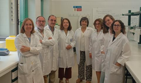 Equipo de investigación Lactoferrina